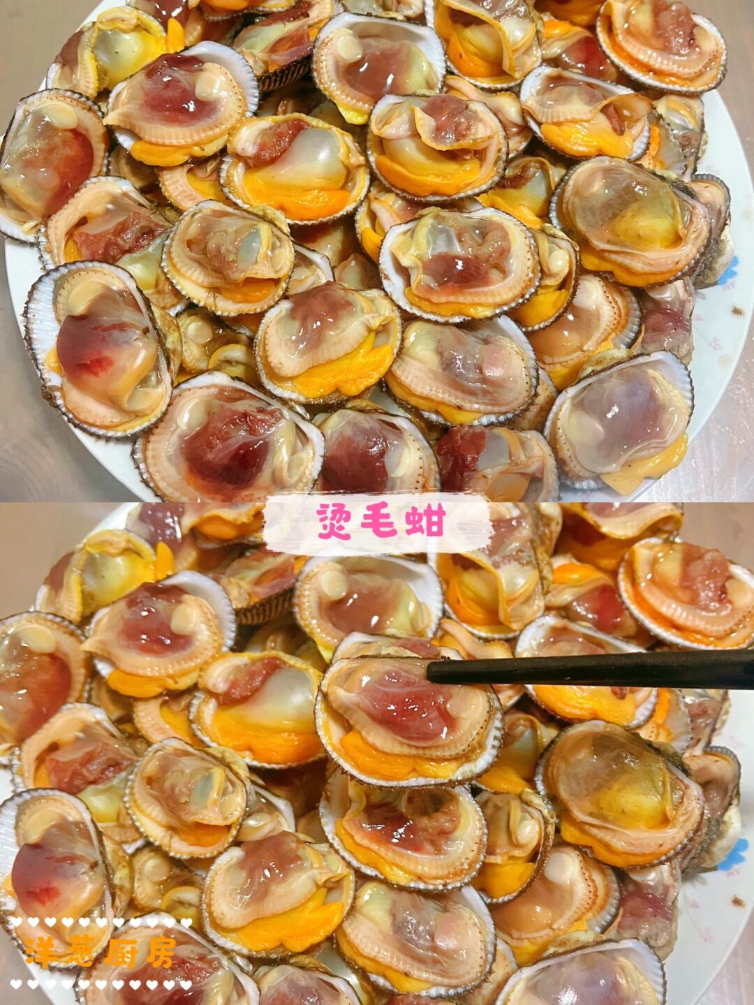 烫毛蚶 食材新鲜毛蚶生姜小葱