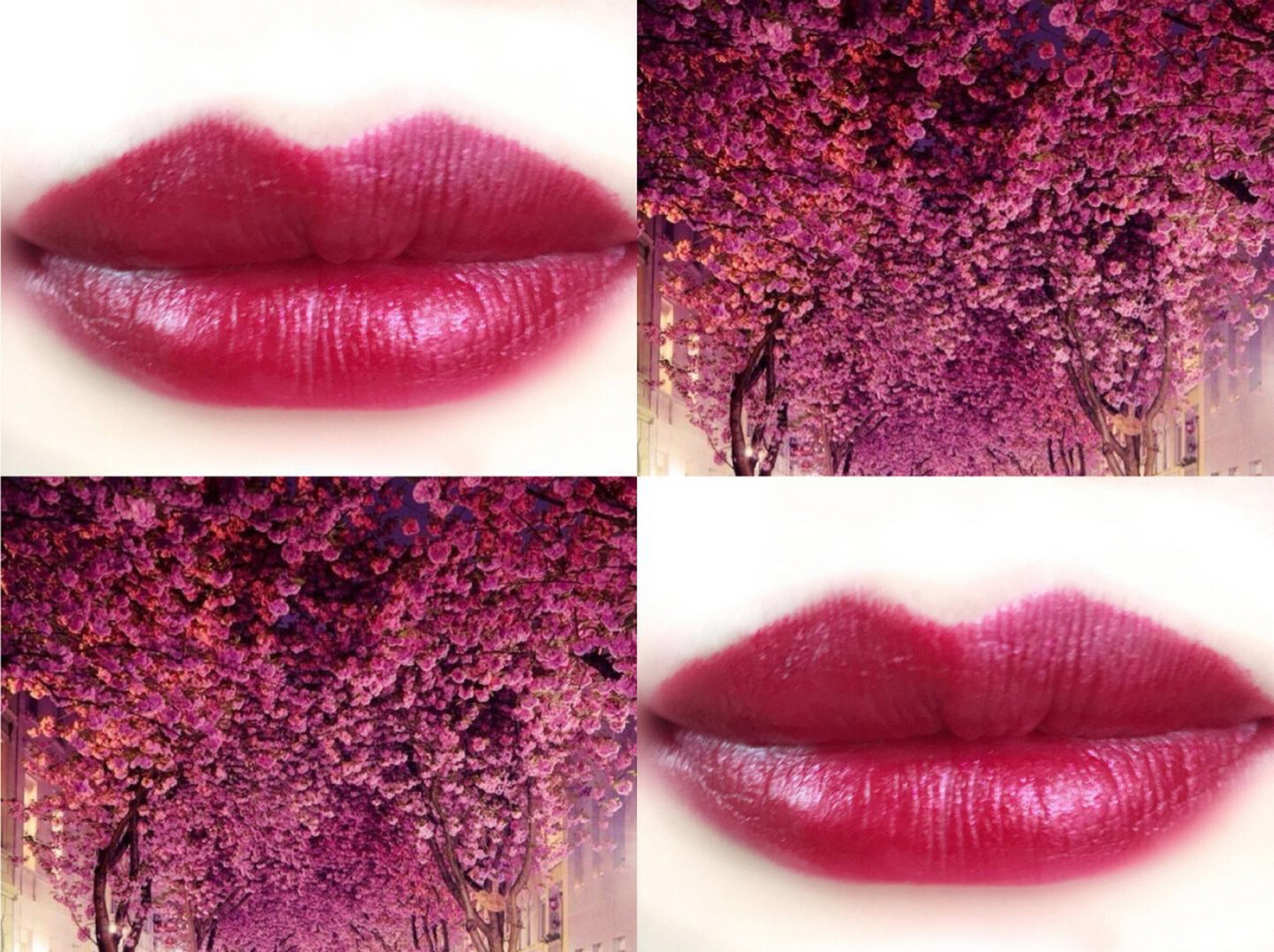 国货#美康粉黛~诗情画意之口红 92这三支美康粉黛口红是和修容耙换