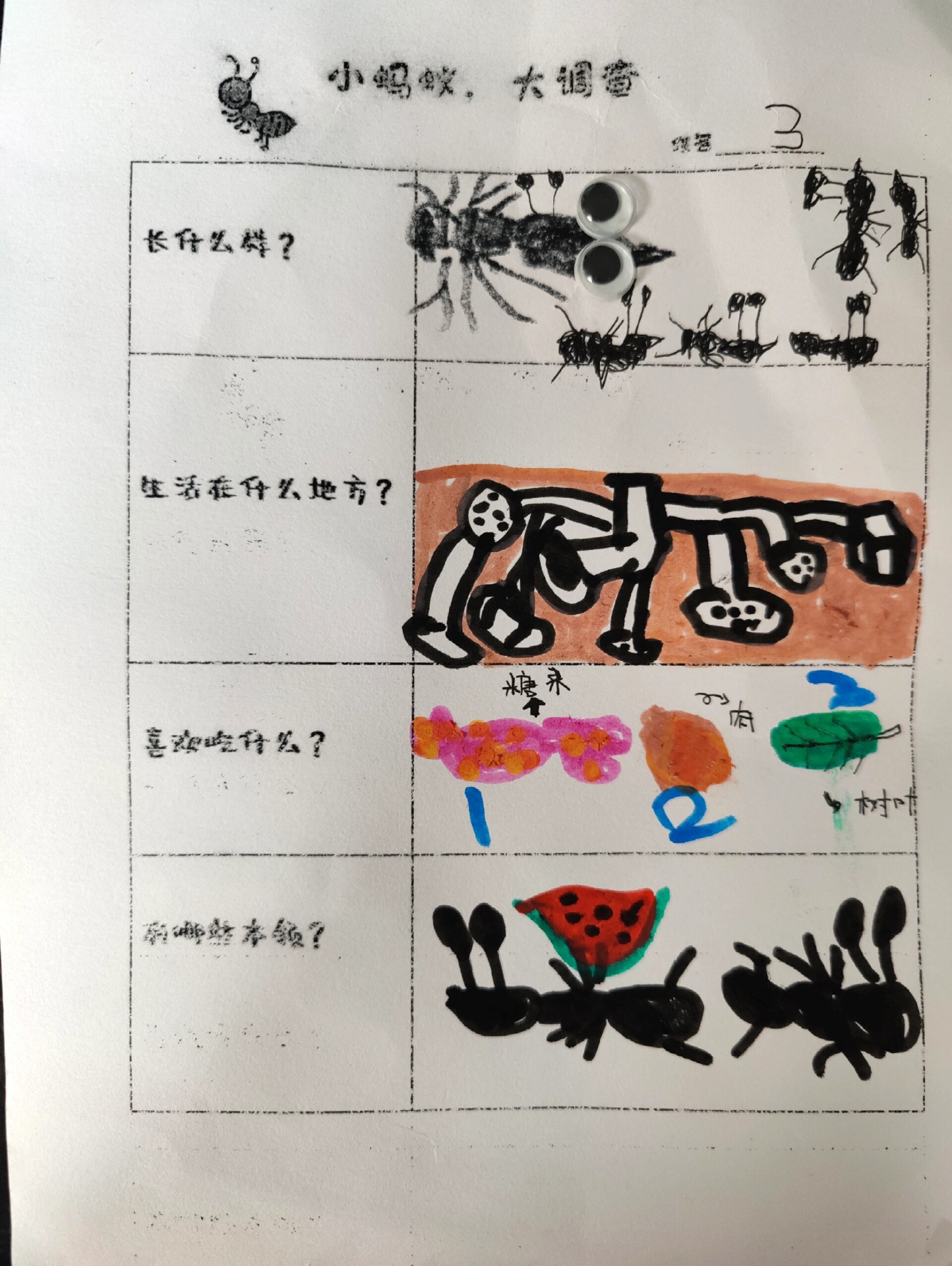 "自己的作业自己写"蚂蚁调查表