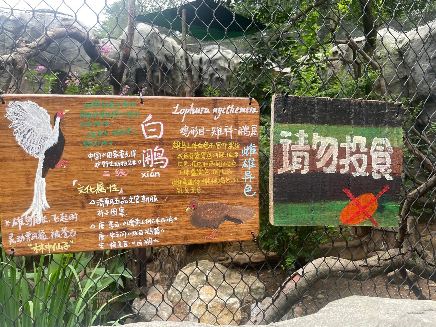 红山动物园的告示牌/警示牌 逛了一圈四小时,红山动物园真的超有心的