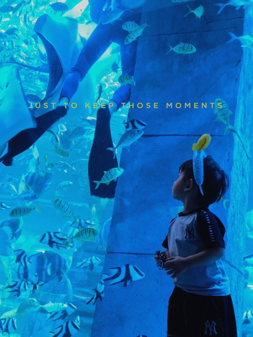 金华的"海底世界"——万泰海立方海洋公园 地址:婺城区紫金南街与330