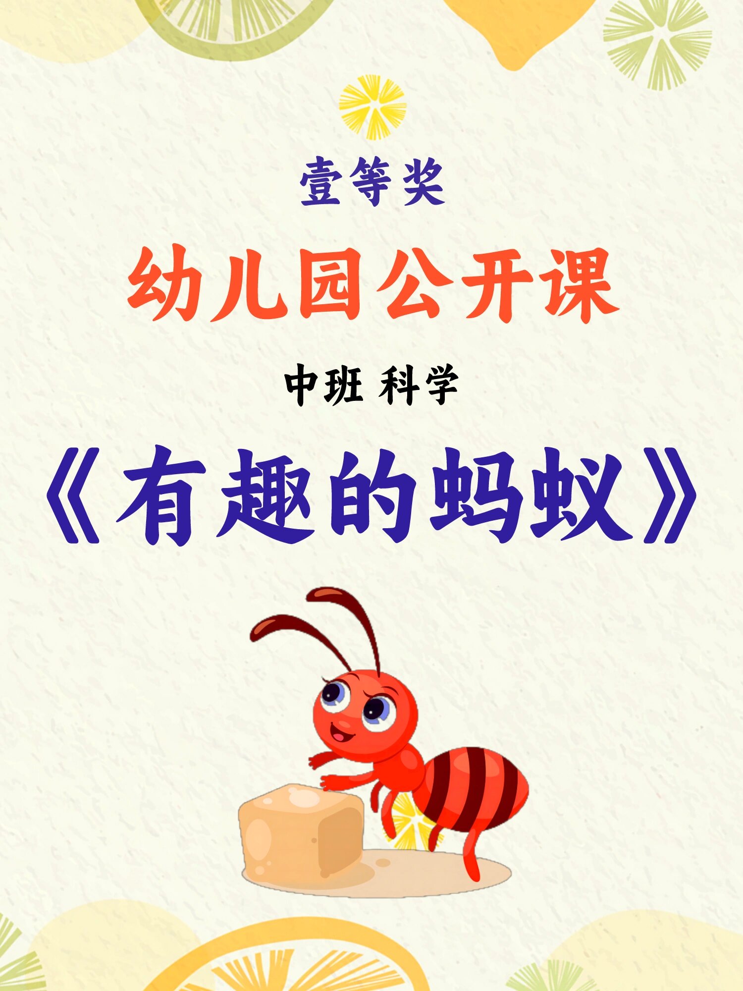 幼儿园公开课:中班科学《有趣的蚂蚁》