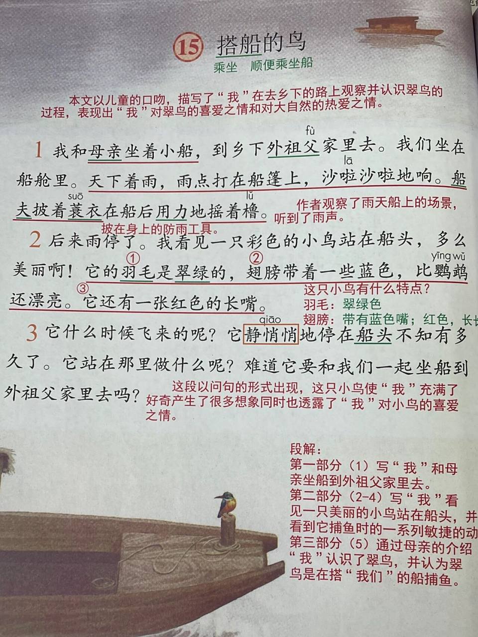 三年级语文学习第五单元第15课搭船的鸟课文解析.