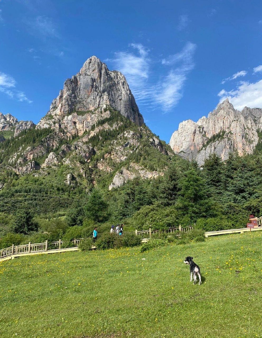 96关于扎尕那大景区恢复门票收费的公告93 扎尕那景区于2021年7月