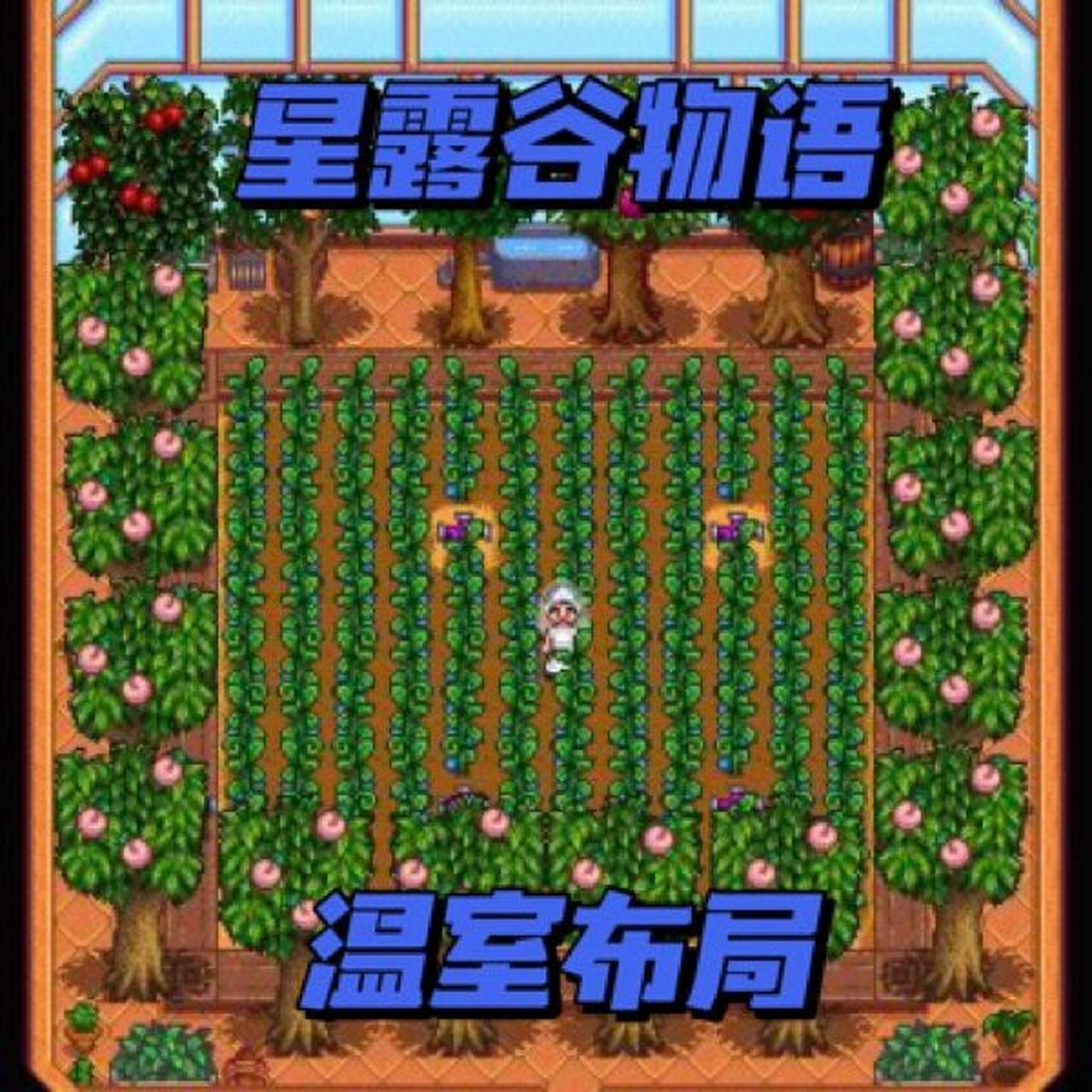 星露谷物语|温室布局93 9016个优质洒水器,可种108作物.