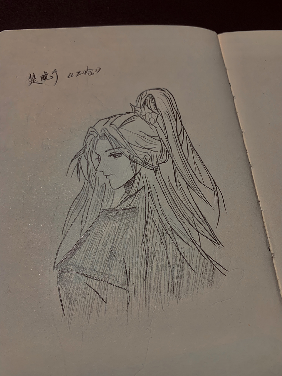 楚晚宁 手绘 《海棠微雨共归途》 |   by 肉包不吃肉