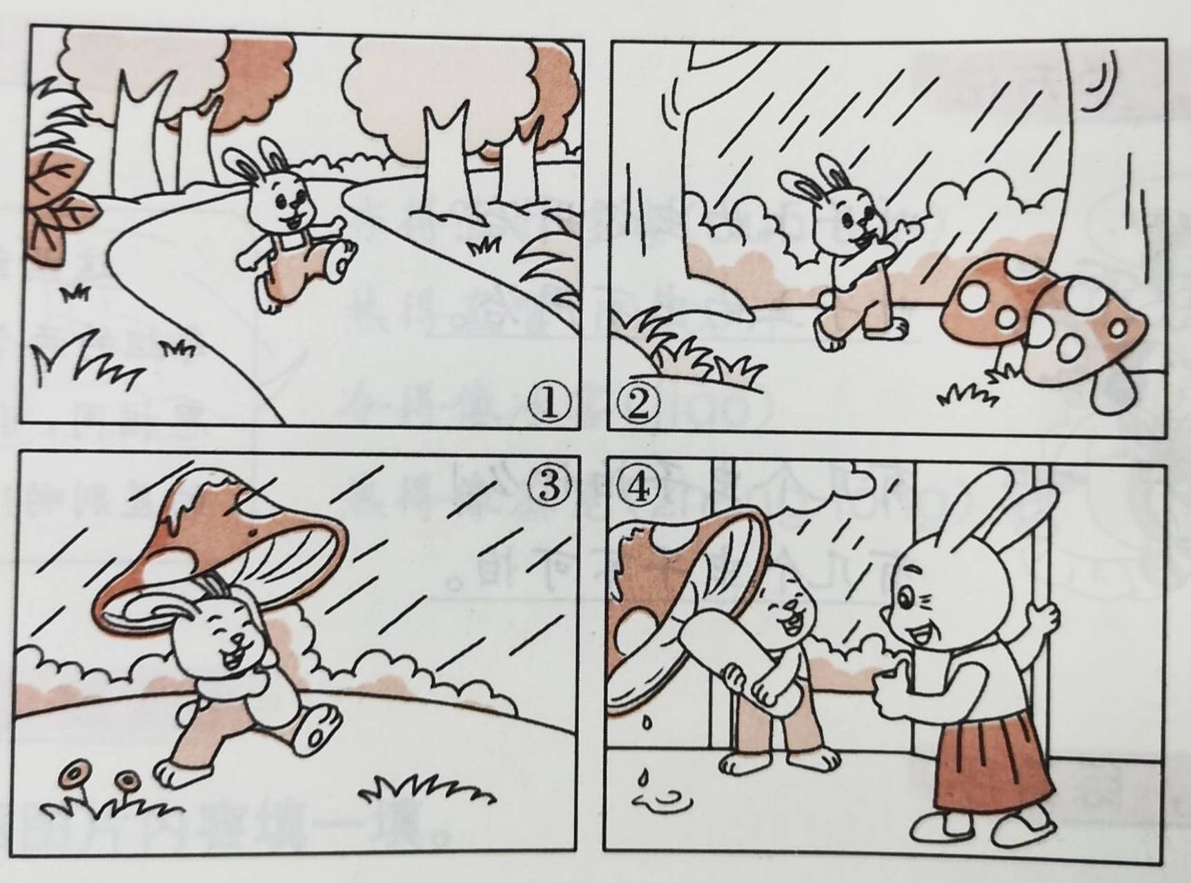 好作文分享:聪明的小白兔    二年级看图说话写话聪明的小白兔(一)