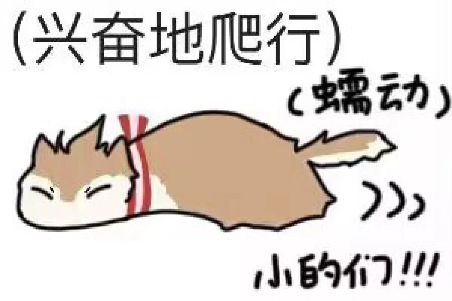 爬行猫猫表情包第二弹!