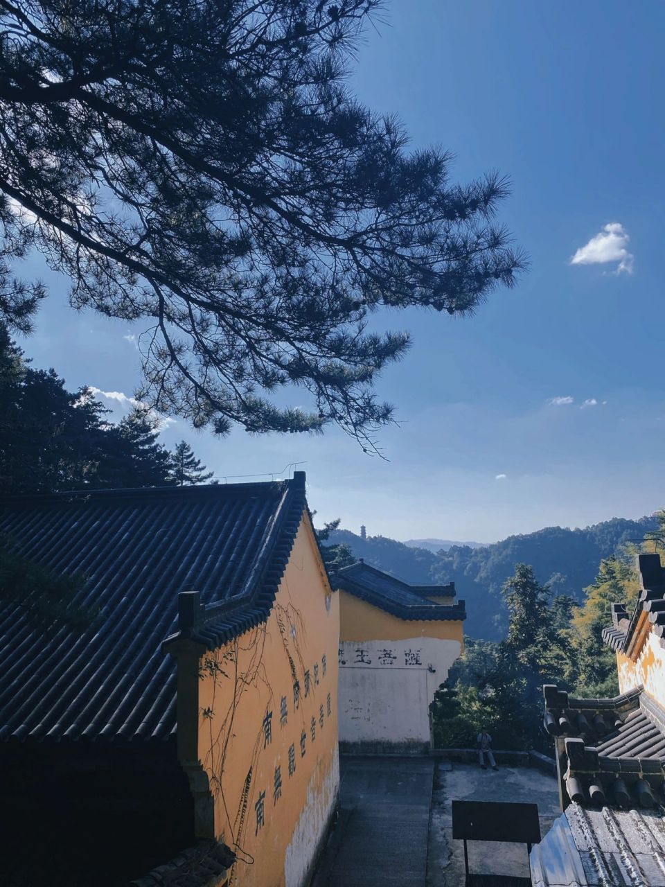 九华山攻略 门票16090景区内各景点通行公交车票5090花台往返索道