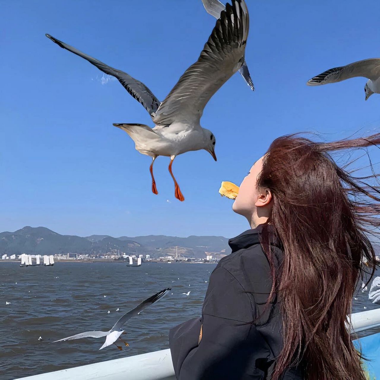 头像也太难选了叭757575 中途下车的人有很多, 你也不必耿耿于