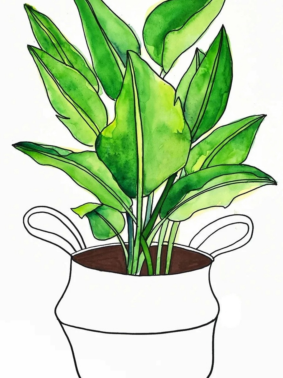 儿童画教程|网红绿植 教学重难点 1.