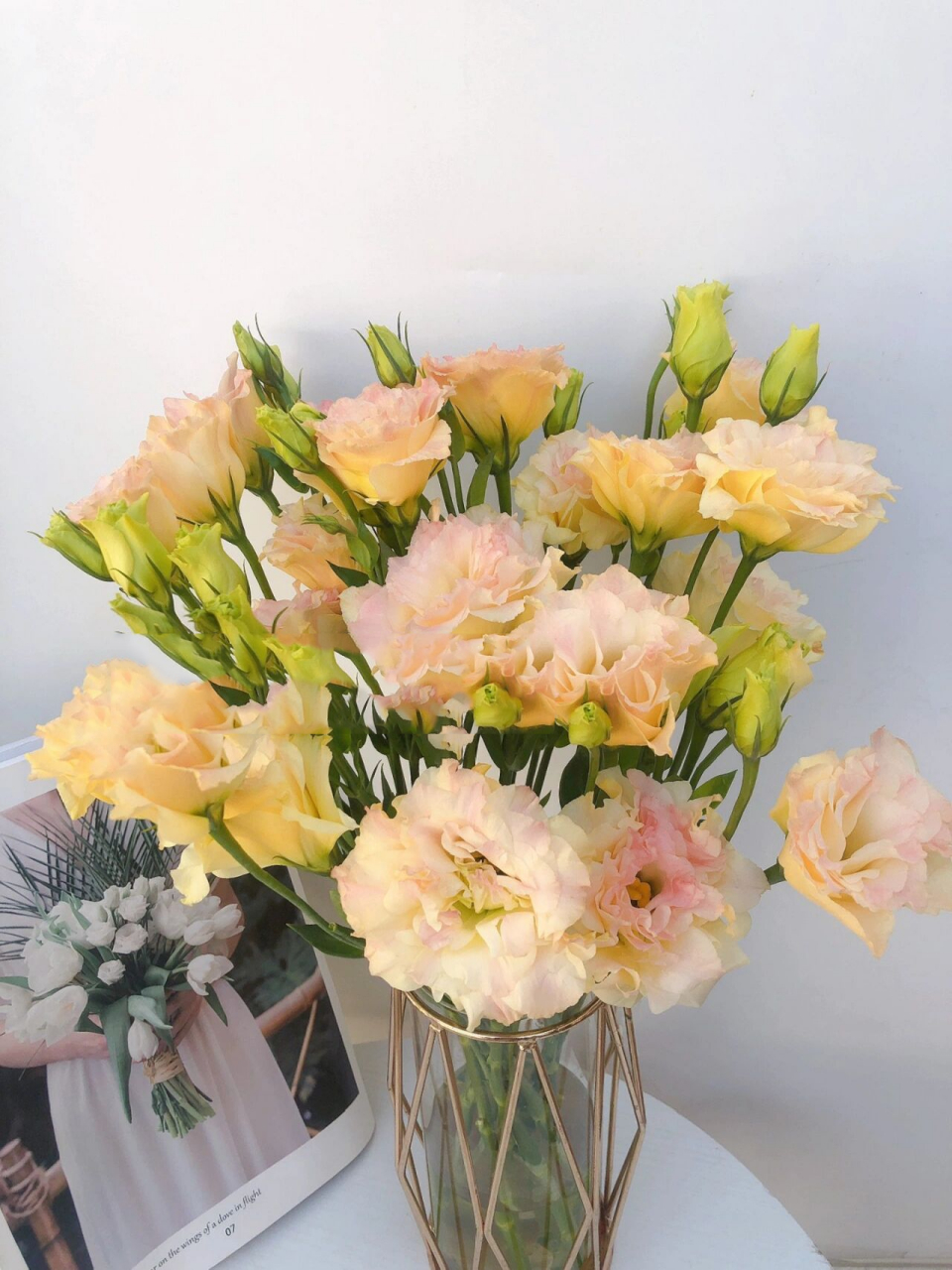 cc son‖香槟色洋桔梗——不是玫瑰哦 香槟色洋桔梗花语: 1,真诚不变