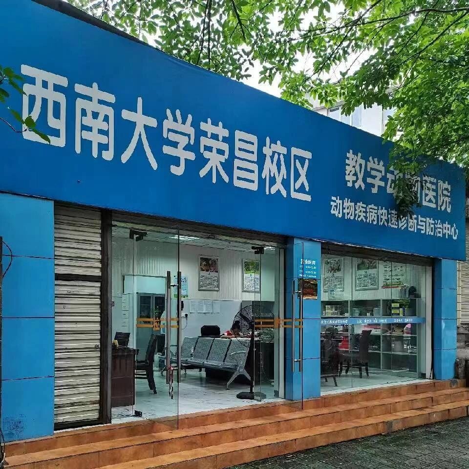 作为长期和全国各地宠主打交道的博主来说,西南大学动物医院在我眼中