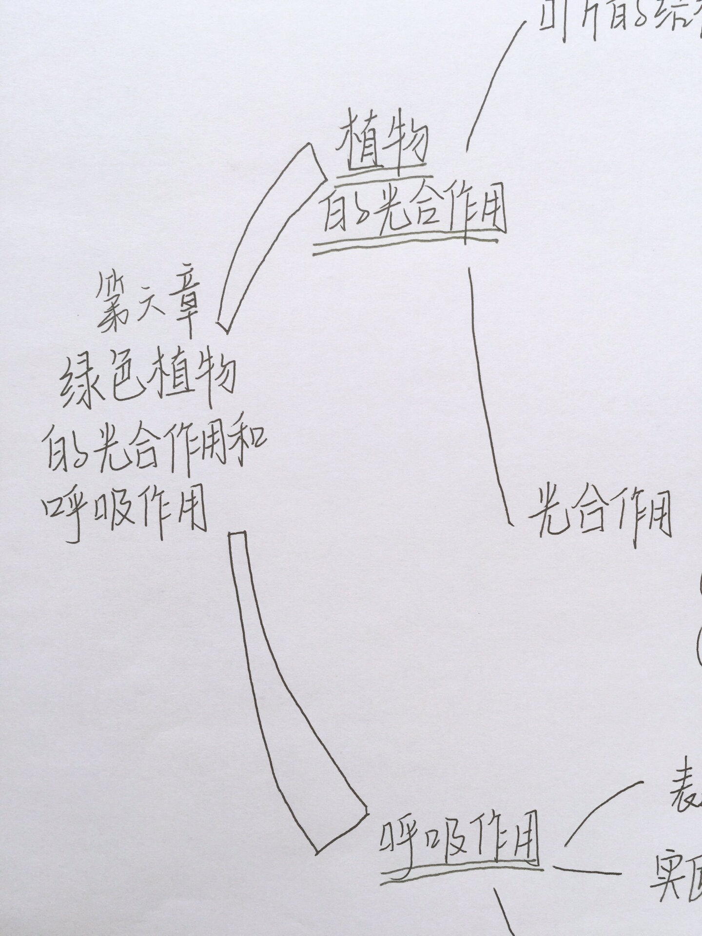 七上生物苏教版第三单元思维导图 纸张大小:a4