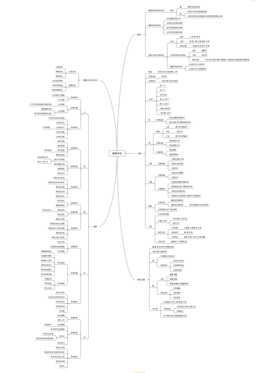 《中医药基础理论》藏象学说思维导图