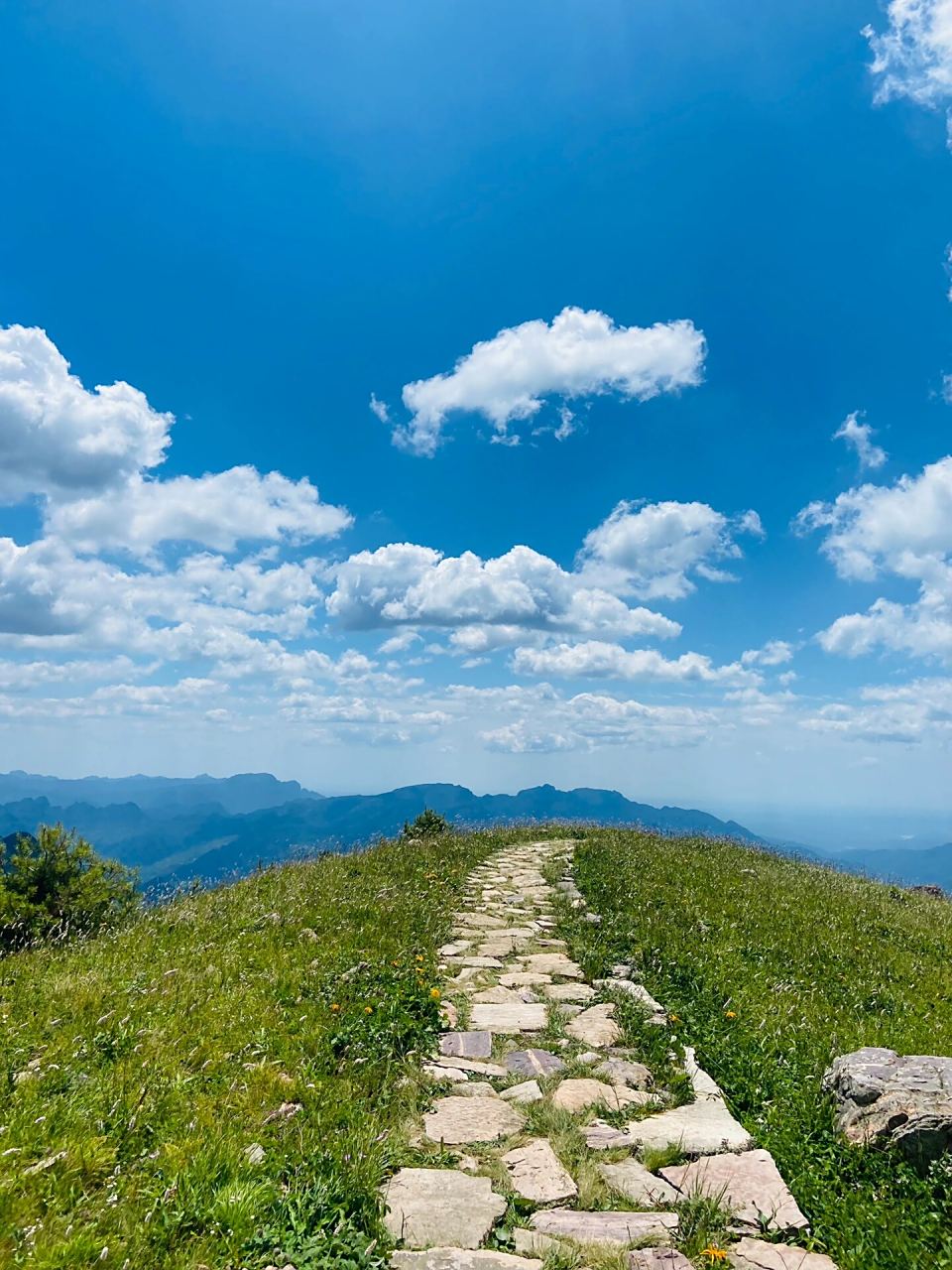 洛阳周边游 | 小伊犁舜王坪-绝美高山草甸 99山西历山舜王坪!