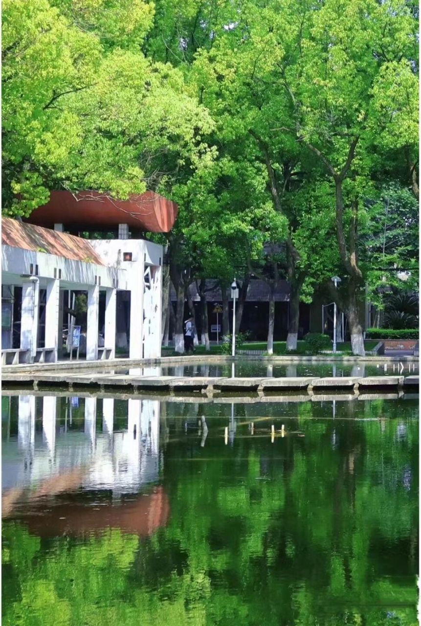 今日介绍—西华师范大学行署校区(老区) 西华师范大学行署校区(老区)