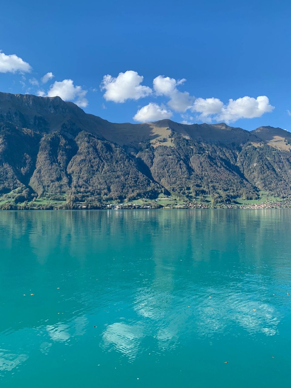 9893瑞士布里恩茨湖|爱的迫降取景地 这里是布里恩茨湖边,拥有