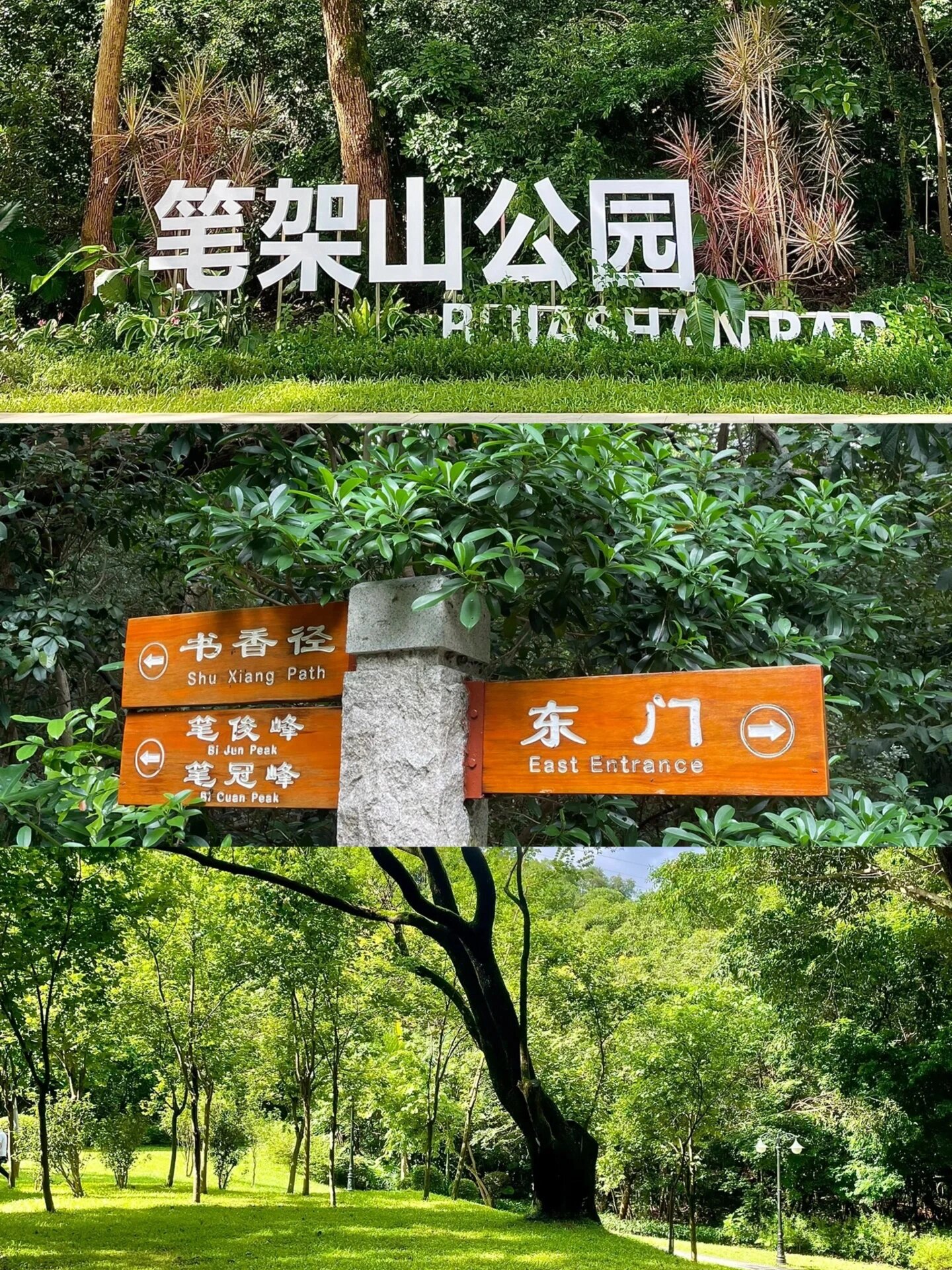 续上次发的深圳登山合集,这次又给大家细分整理了福田爬山合集攻略