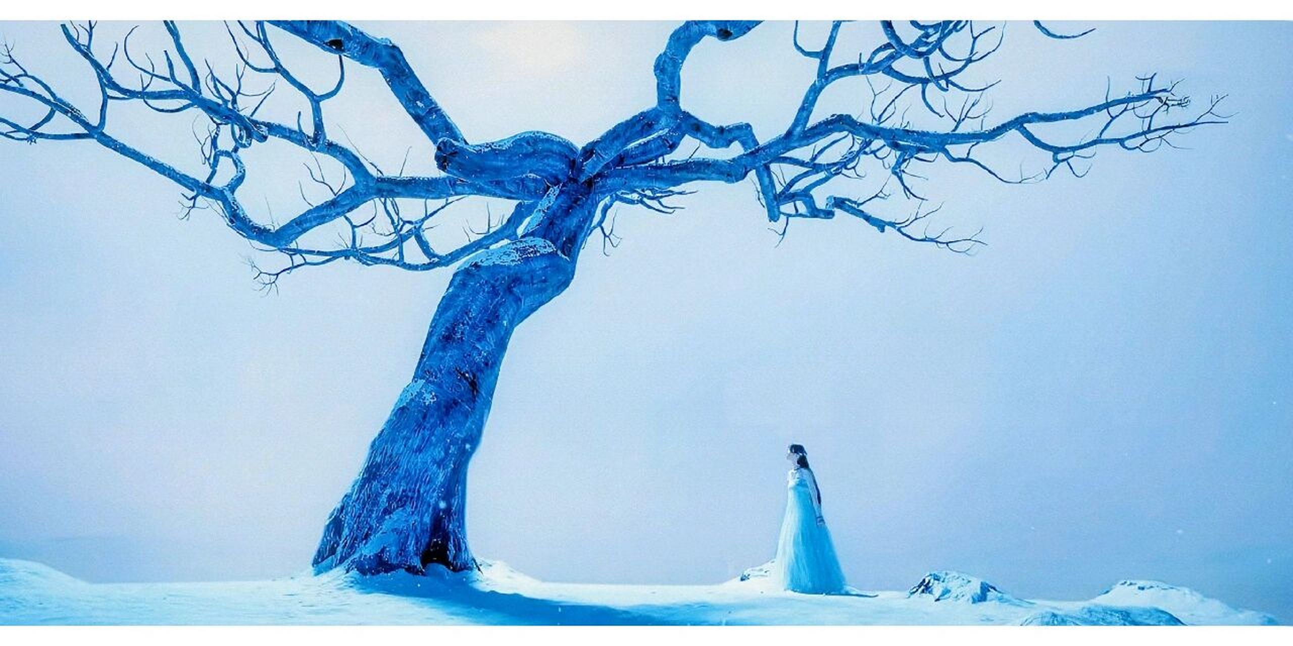 枯木也会因爱盛开 而我只能坐于七情树下任凭那爱肆意疯长.