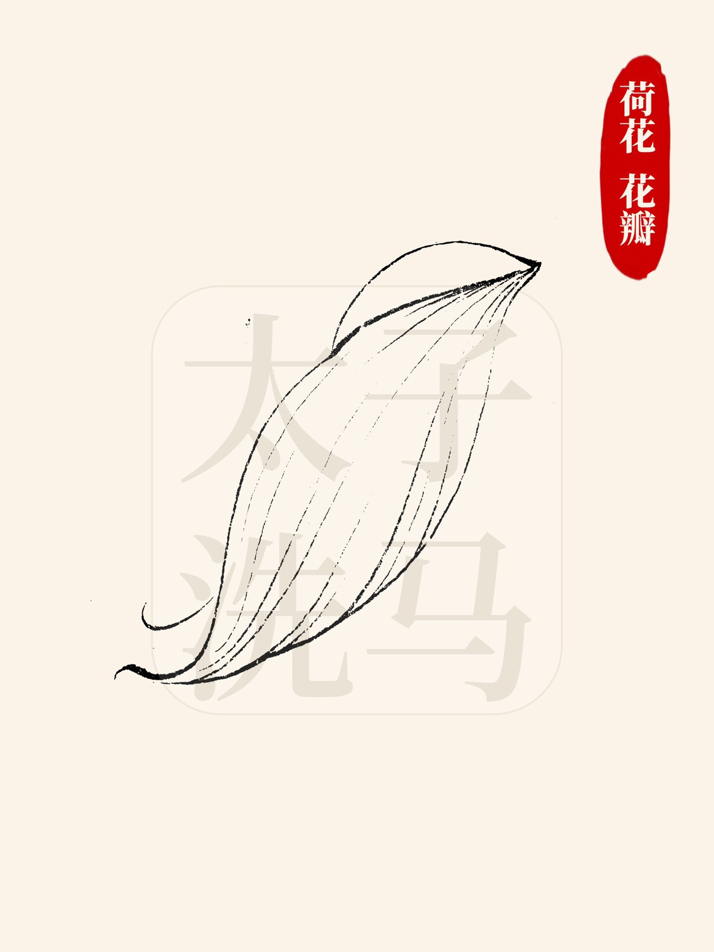 98今天分享的是中国画中常见的9种花瓣的白描,线描的画法,其中包括