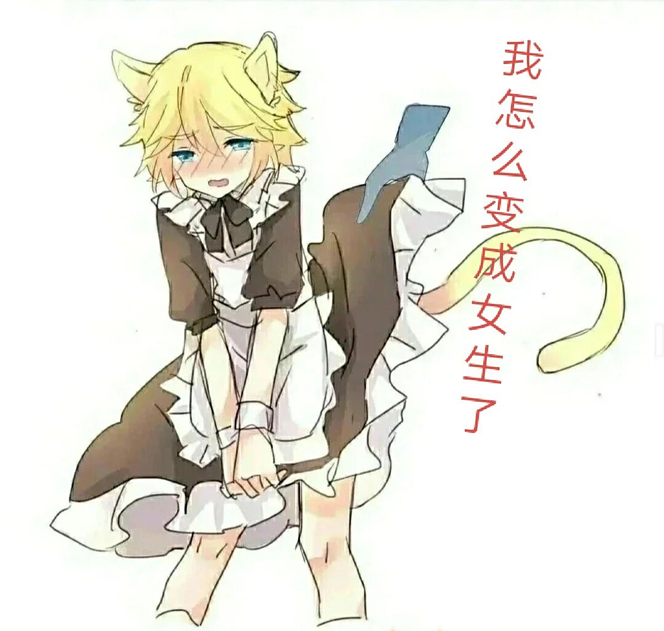 当金变成女生 ,凹凸世界全员会有怎样的变化呢?