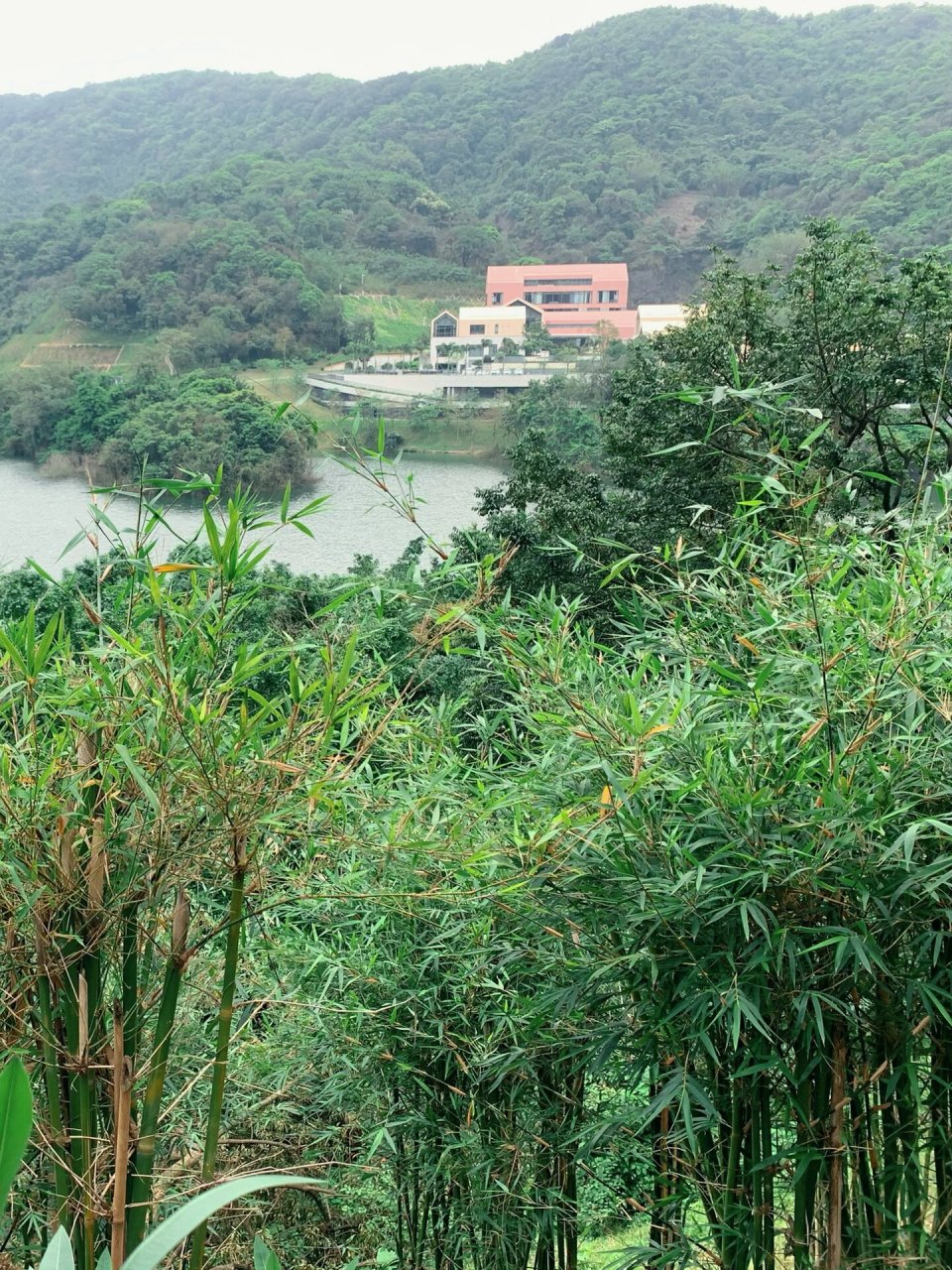 广州水声水库徒步环线开啦98近地铁风景超美  亲水临山绿植茂密,有