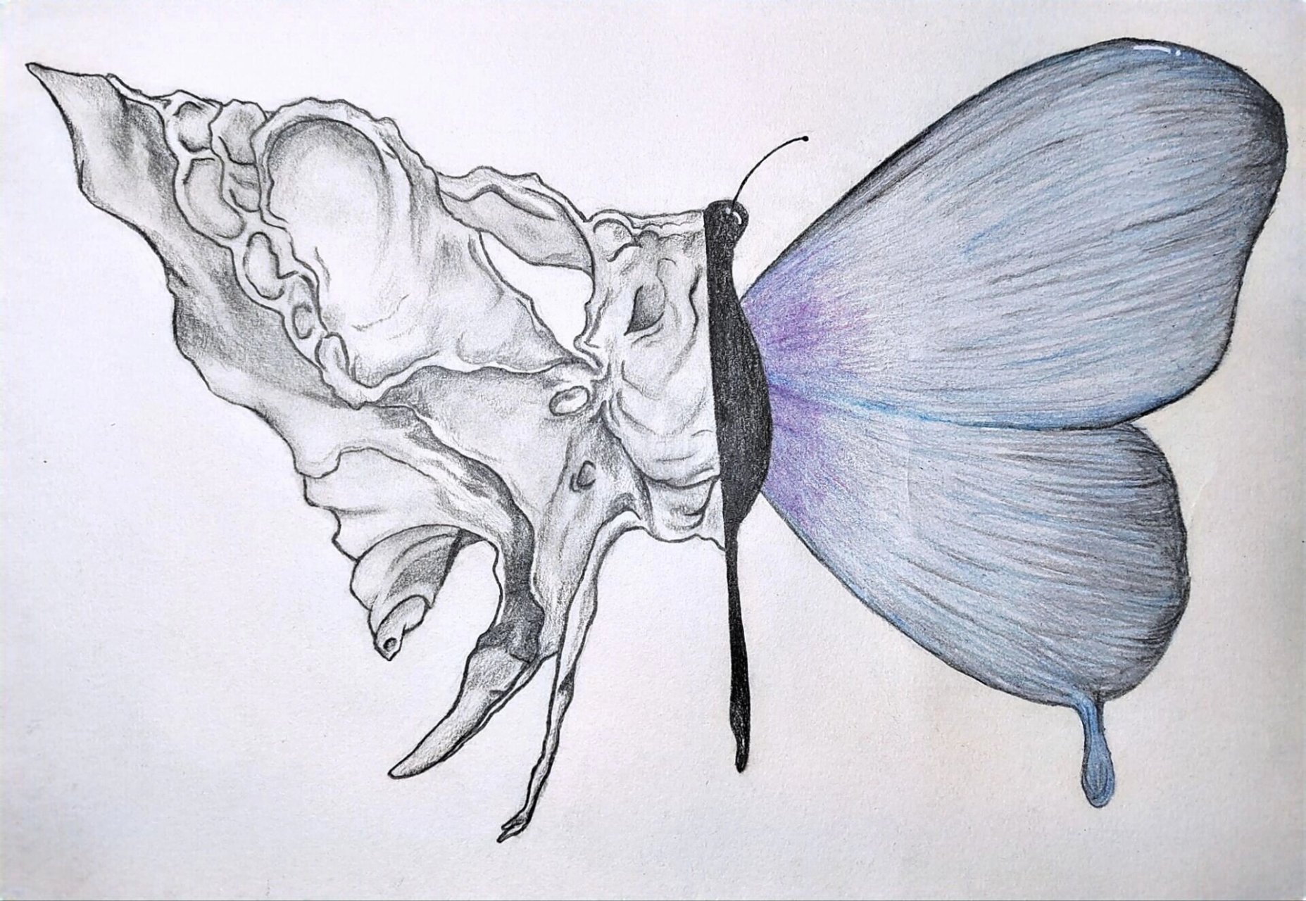 蝶骨 人体最美的一块骨啦!