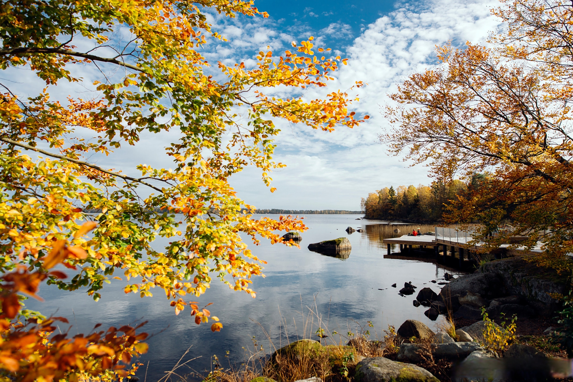 沿着湖边漫步,秋色映入眼帘9494 #瑞典可持续自然# #秋天来了