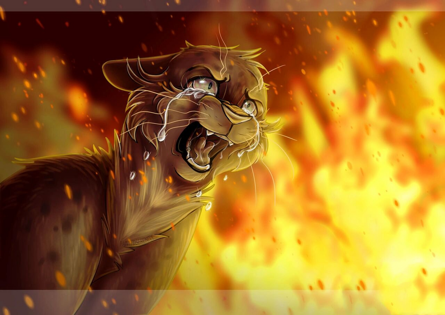 因伤心欲绝而变坏的猫(蜡毛篇)猫武士 蜡毛其实就是爱的太深了… 	 自