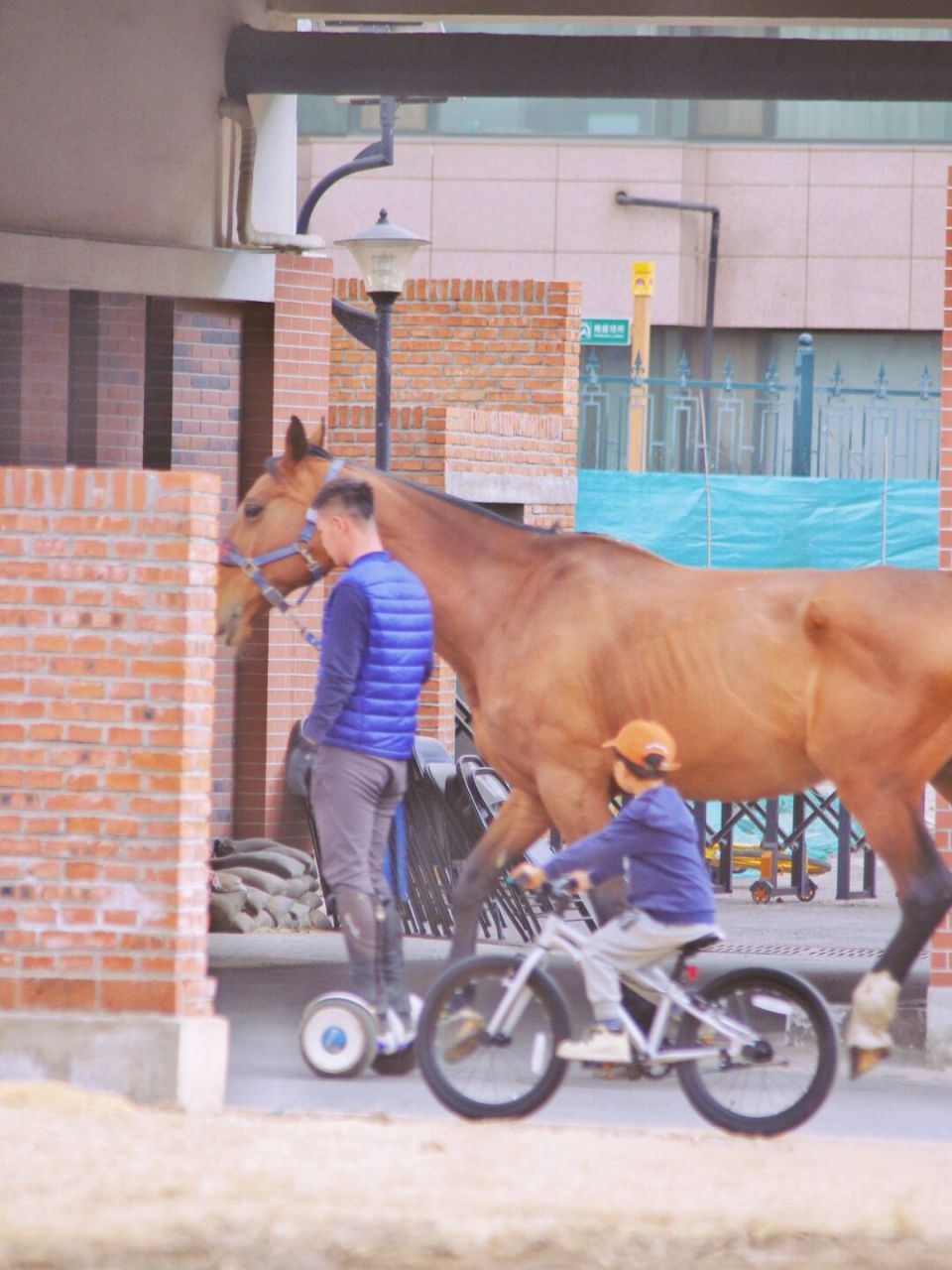 北京亲子骑行公园图片