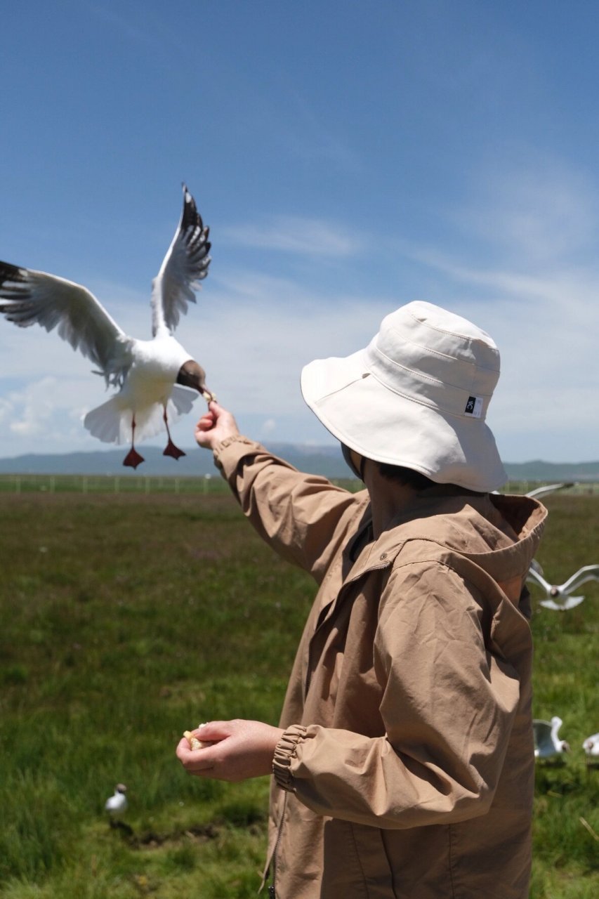 有点坑的若尔盖花湖 99门票:9075(德阳人免门票) 观光车:9035