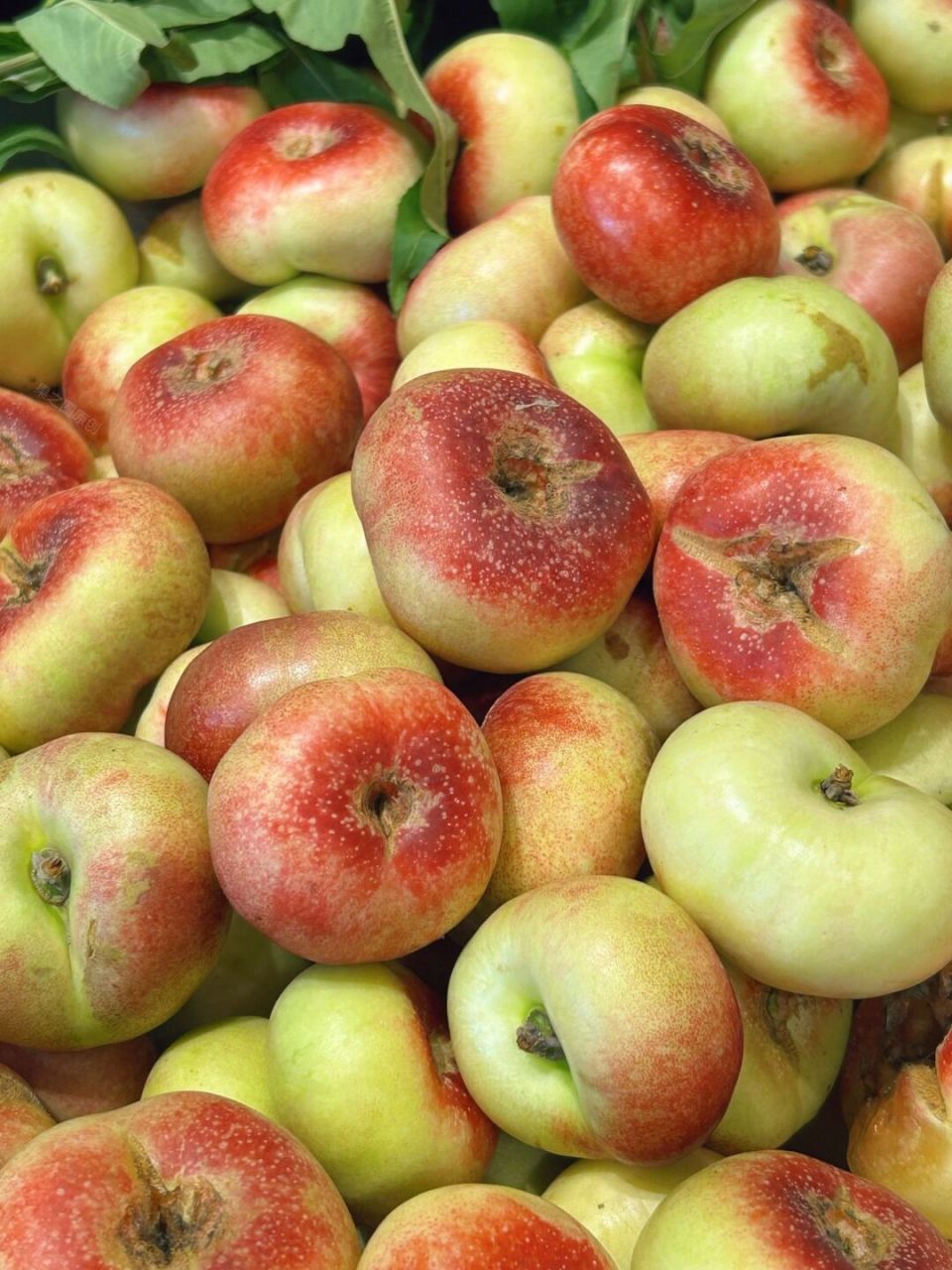 纽扣蟠桃文案 纽扣蟠桃:00咬一口就甜汁四溅,桃肉入口即化78果核