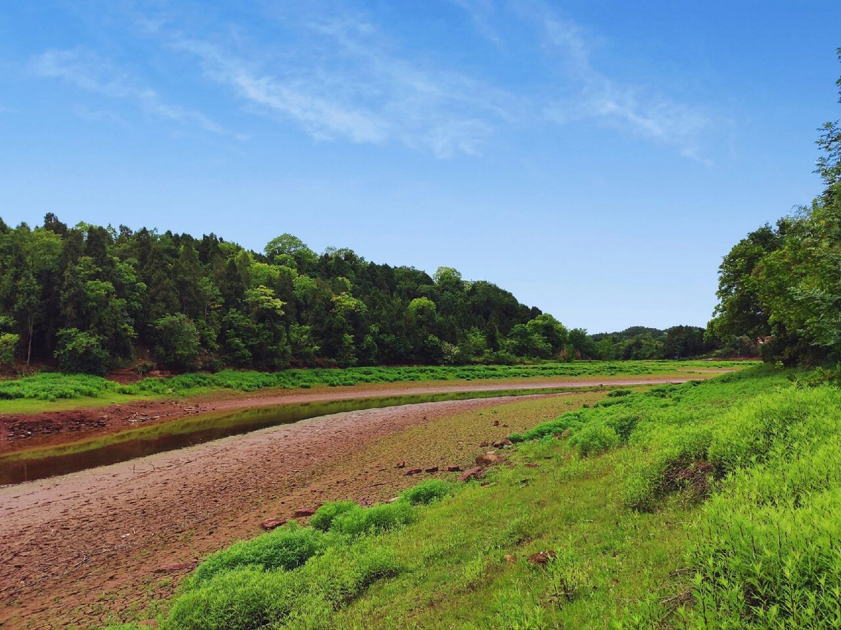 五凤山森林公园 这里人少树多,可以徒步一到两个小时,很适合放松的