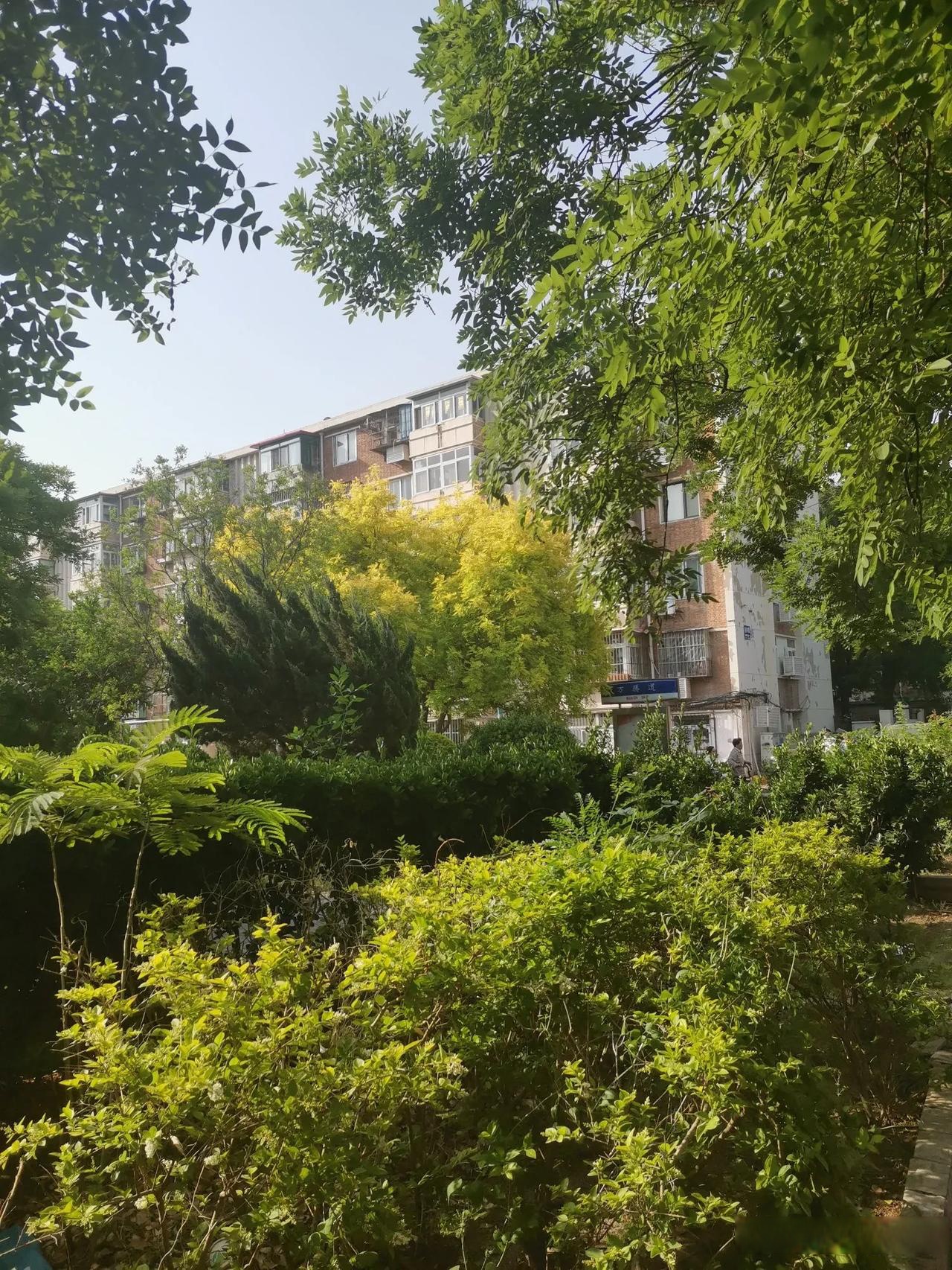 那缕朝阳,原是揉碎了千万颗星辰,悄然洒向人间