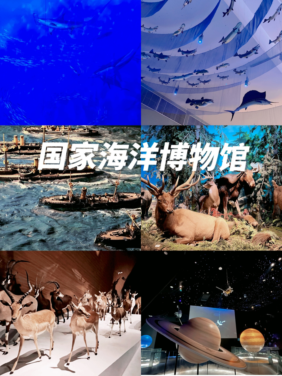 天津海洋博物馆简介图片