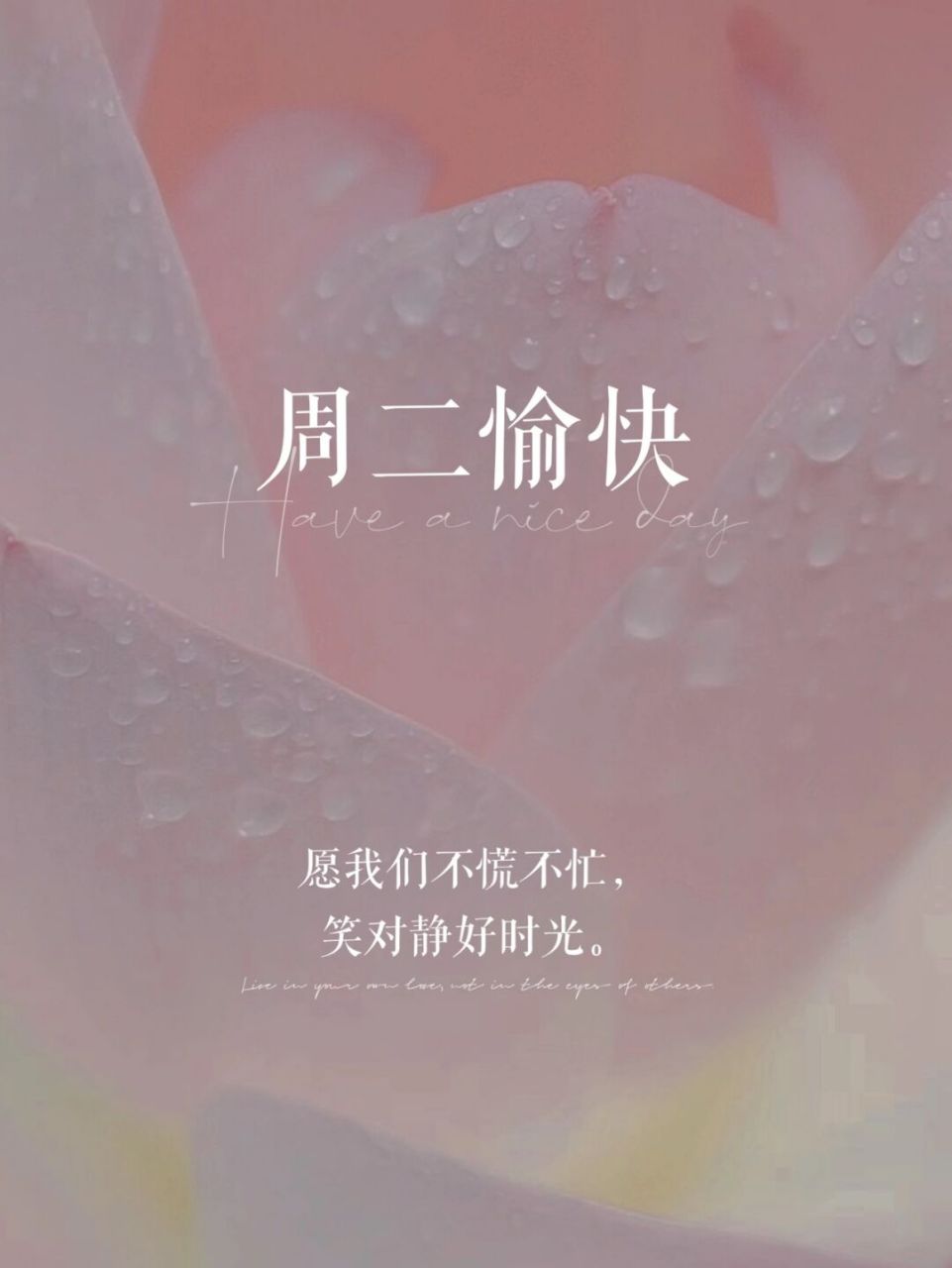 周二愉快|早安日签海报|荷花背景图|可改字 #学设计美学找小沫# #活动