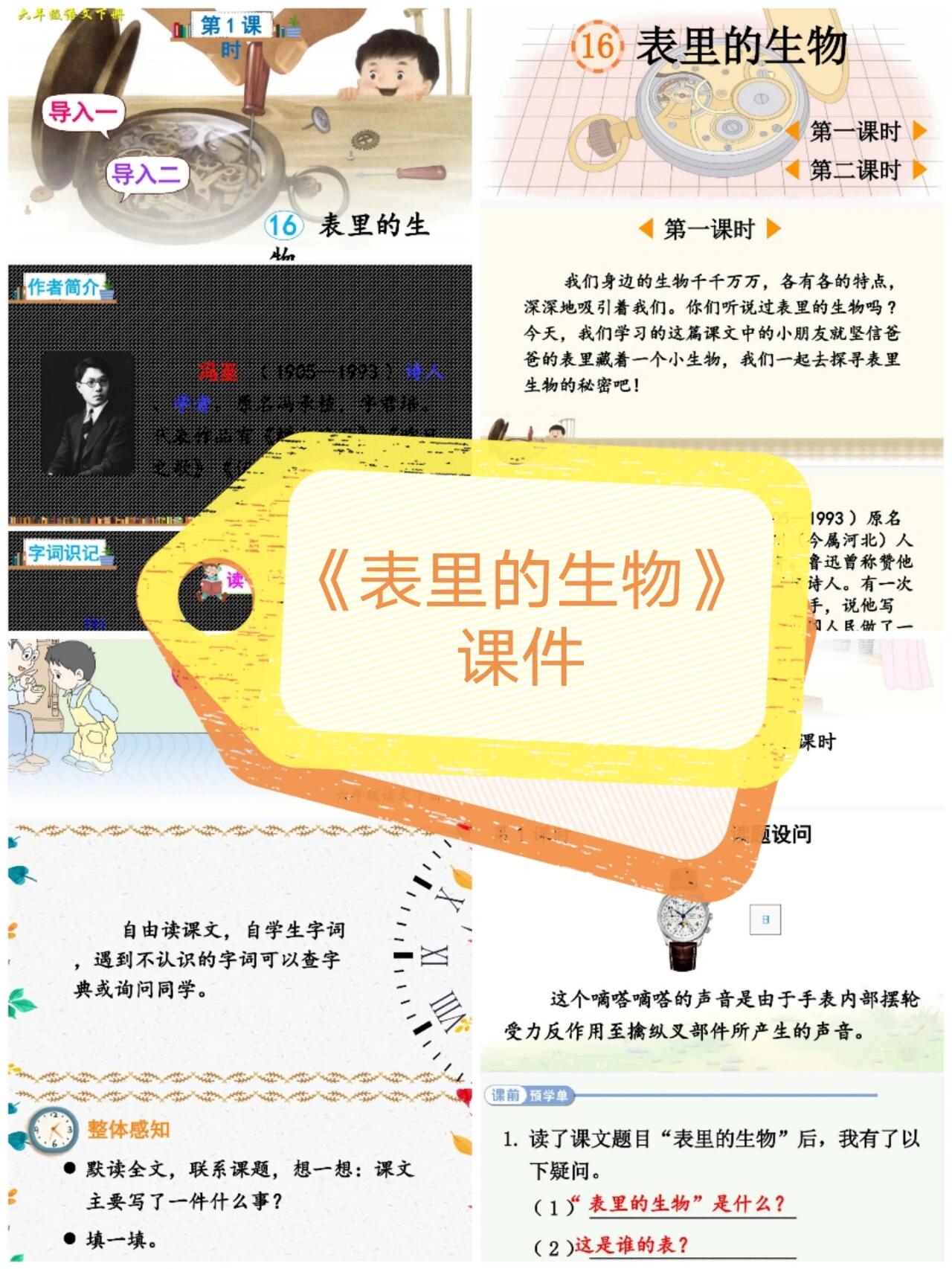 部编版语文|六下《表里的生物》课件教案