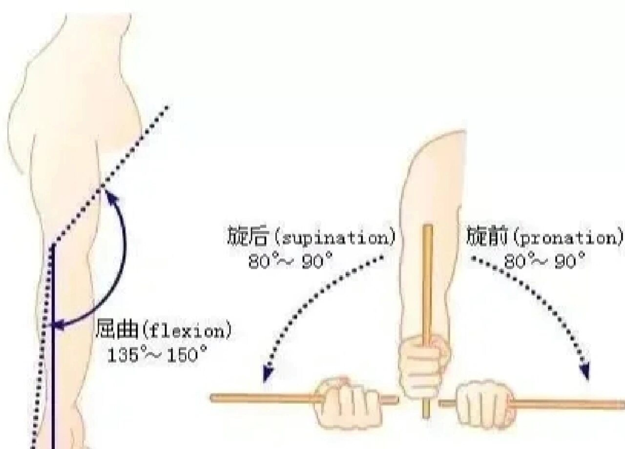 前臂旋前旋后