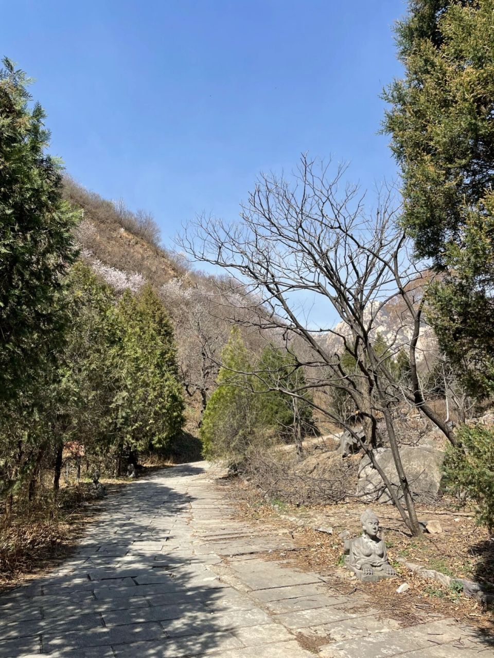 本周打卡·鳞龙山风景区 朋友推荐位于怀柔的鳞龙山自然风景区,原来
