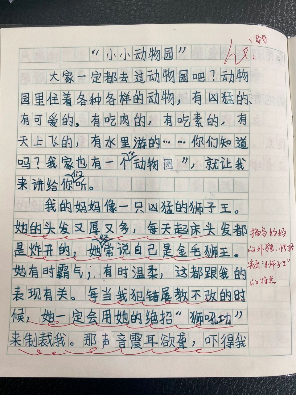 小小动物园200字图片