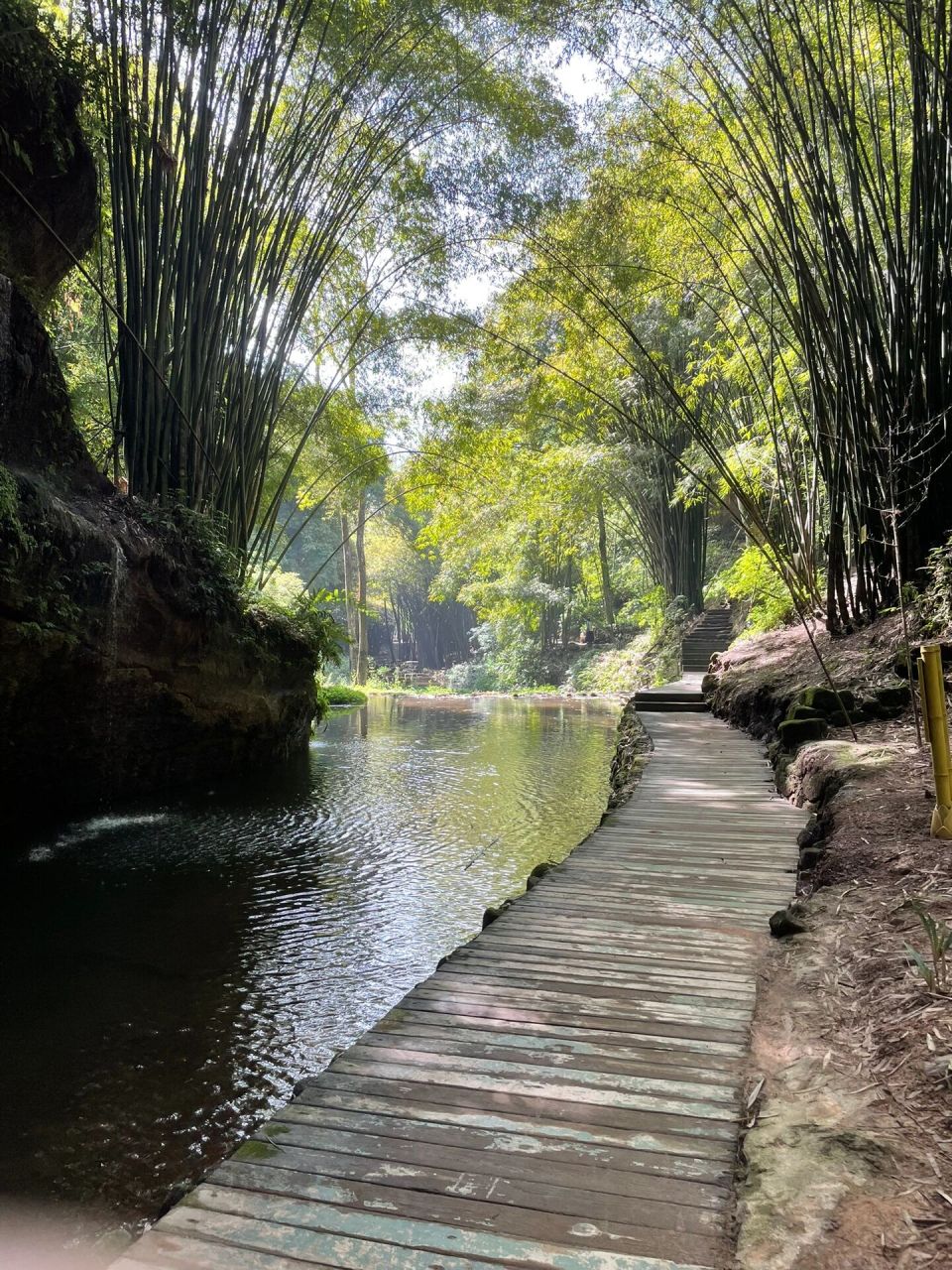 邛崃竹海风景区图片图片