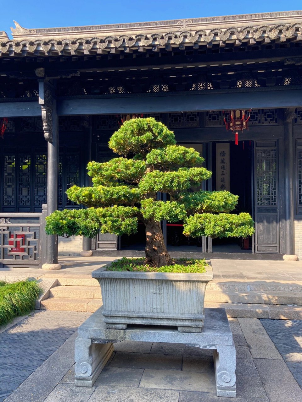 海盐绮园|不用人挤人的小众园林 海盐绮园,隐藏在市井之中的私家园林.