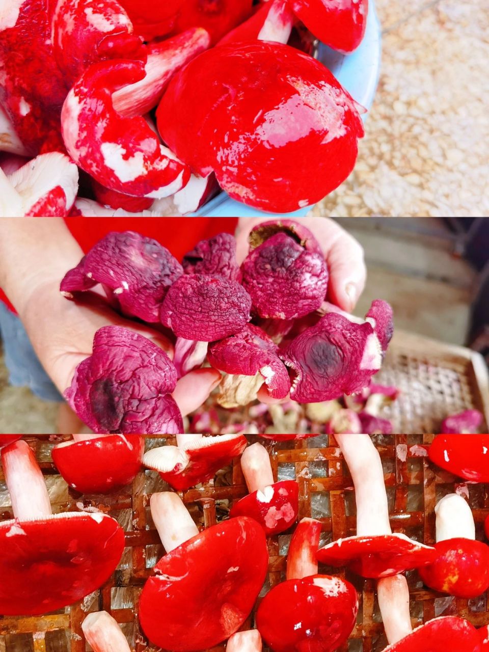 适合送礼的广西特产92钦州三宝必须拥有姓名 03我们广西地灵人杰