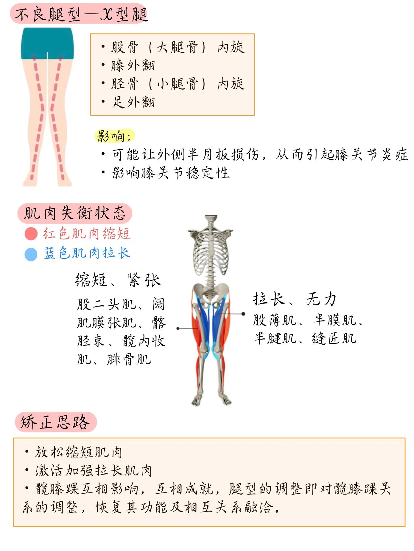 超全改善腿型思路