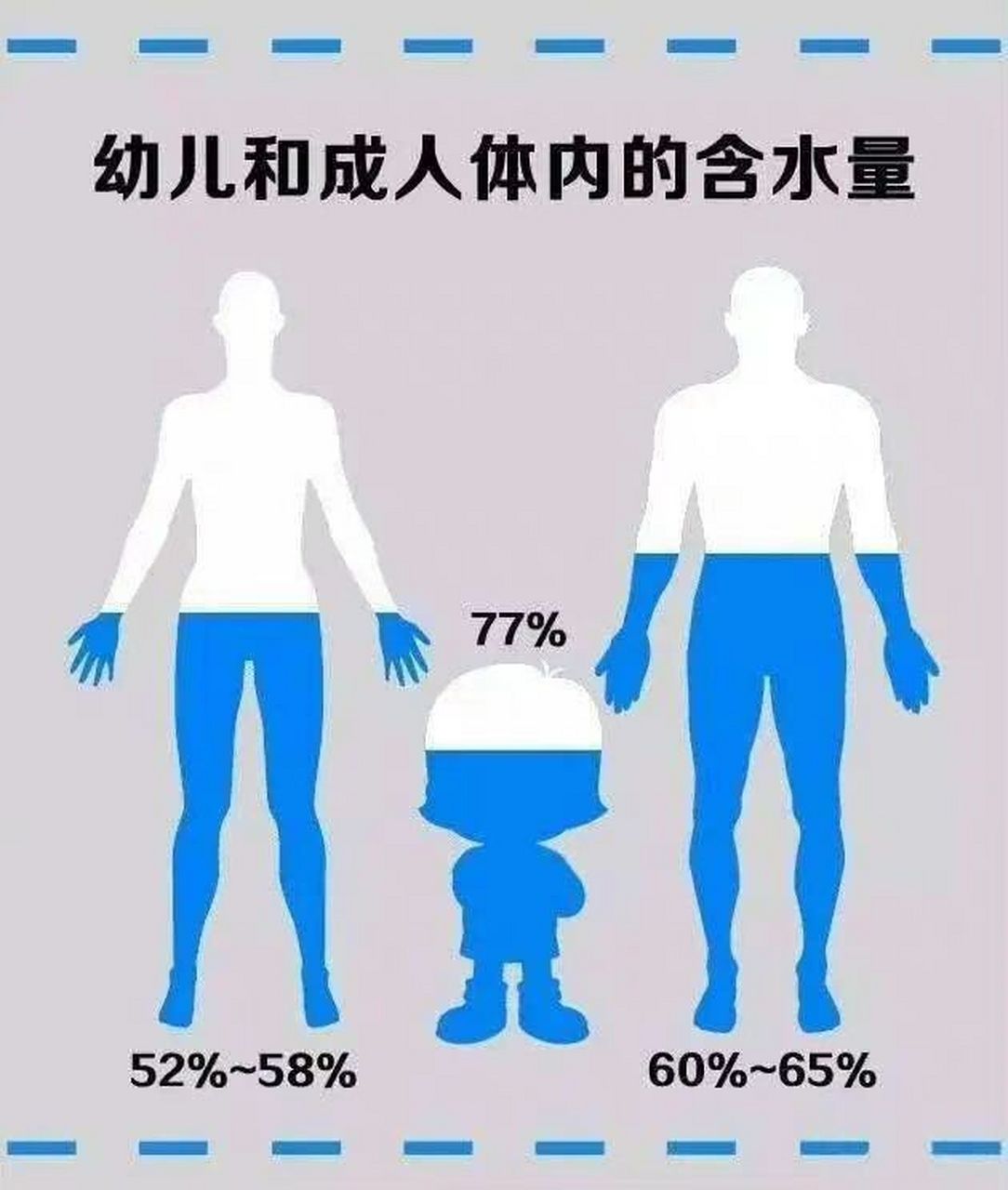 —人体含水量有多少?