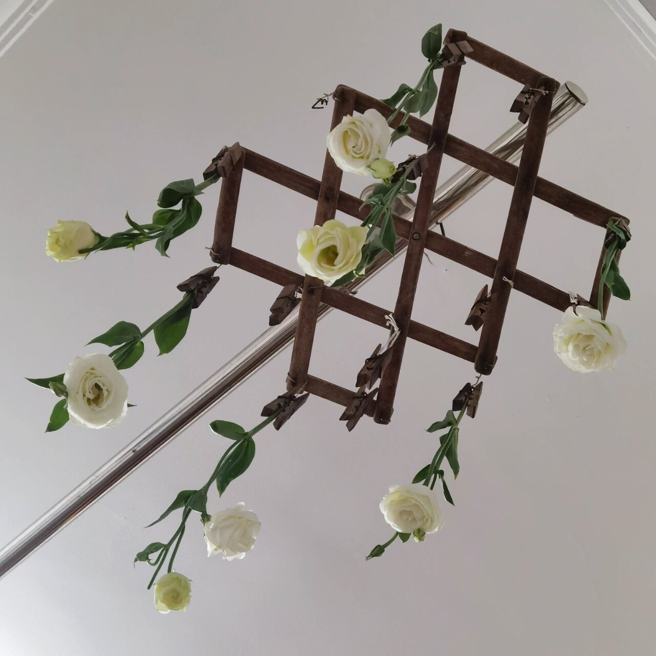 洋桔梗做成干花又是另一种风格