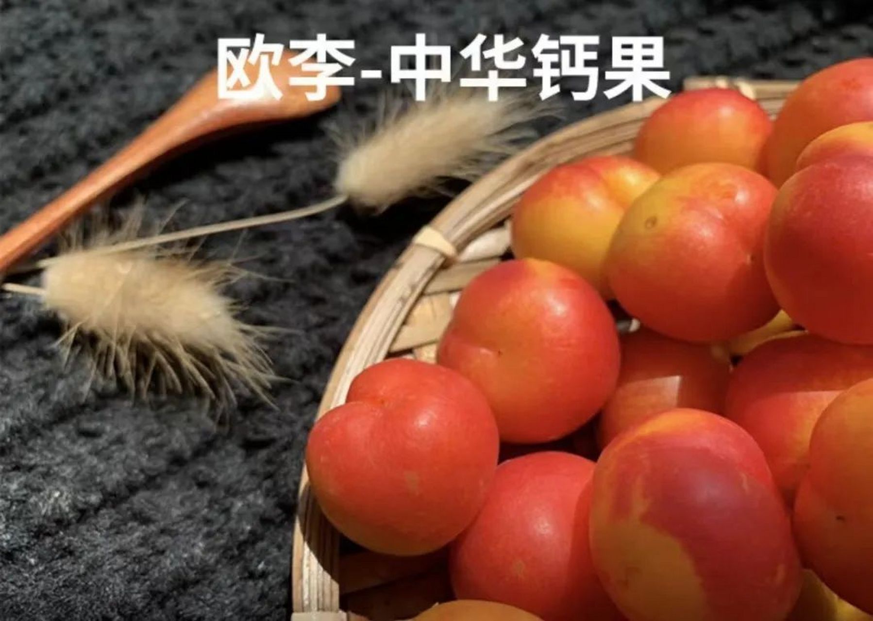 欧李,钙含量最高的水果 欧李,钙含量最高的水果 欧02 李 欧李,钙