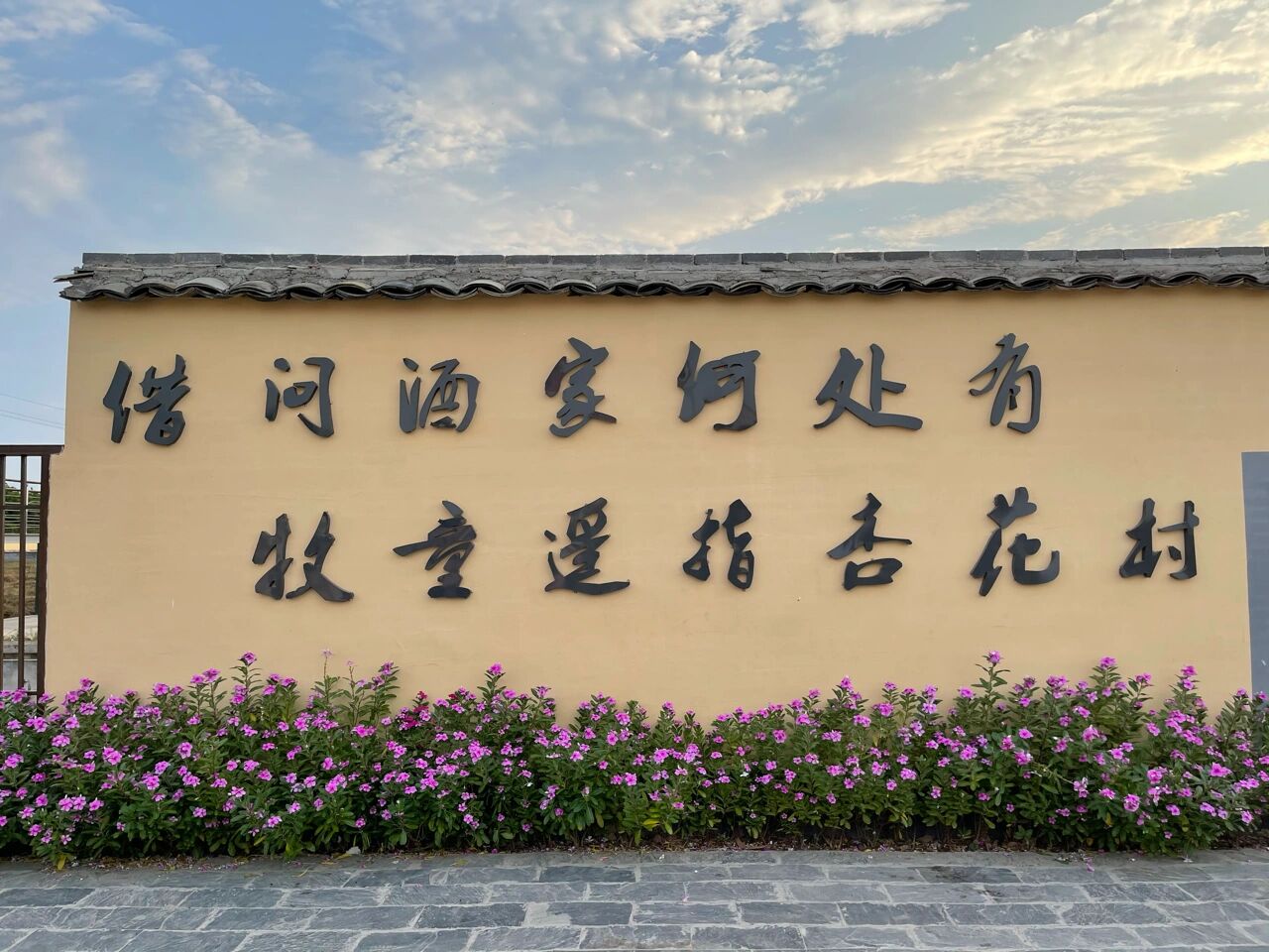 高州游玩·杏花村 茂名乡村振兴打造的示范点 故事里面的杏花村在