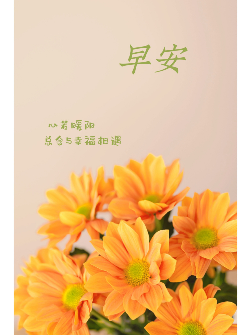 早安文案 正能量语录 早安美图 朋友圈文案 有些路 必须要自己走过